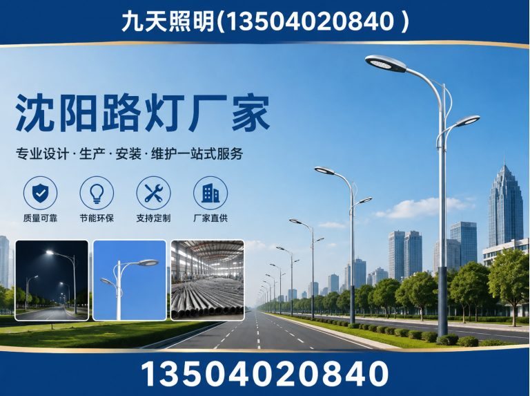 于洪区LED路灯展示图